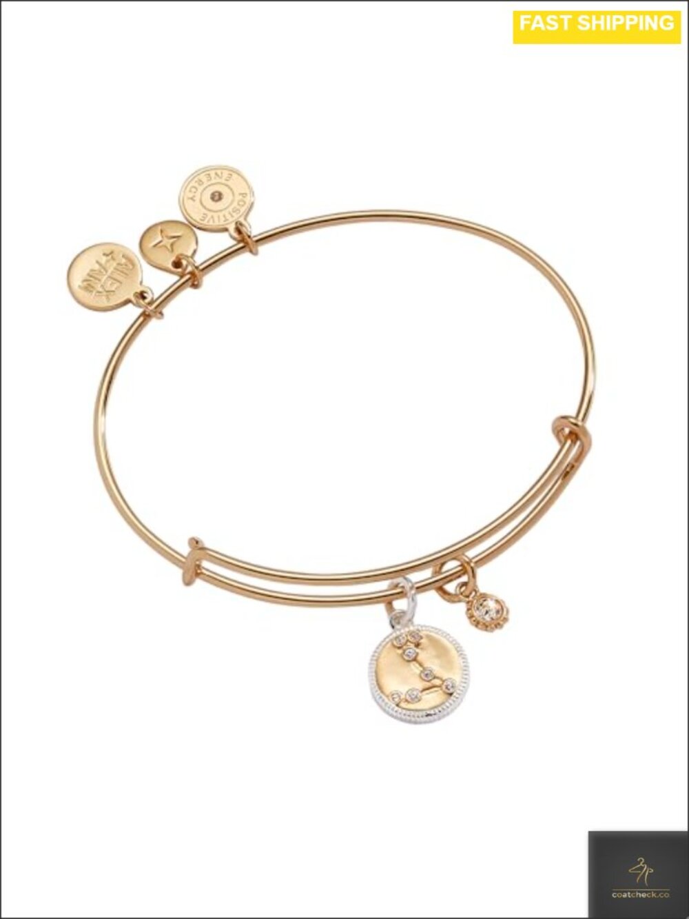 Alex and Ani Sagittarius Zodiac Charm Bangle Bracelet